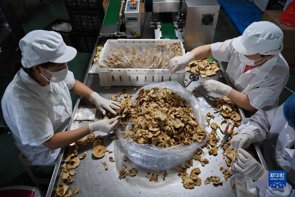 888集团网址